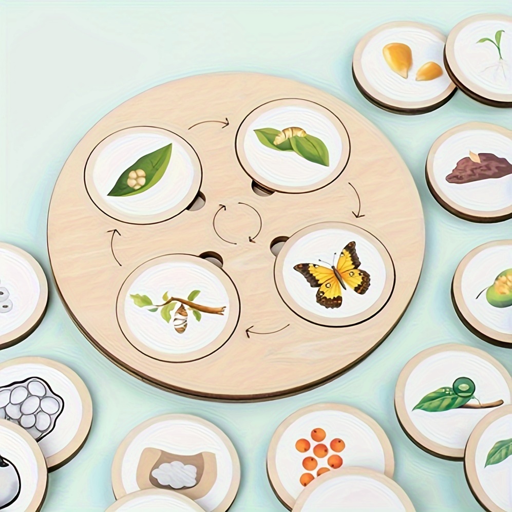 Montessori Life Cycle Board